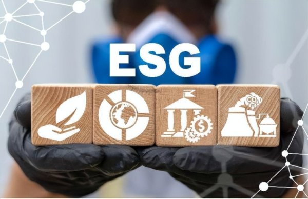 盈富忧配 上市券商2024年ESG报告密集披露，部分券商碳金融领域成果颇丰