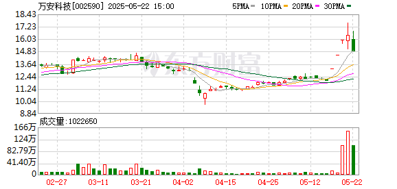 锦达网 万安科技：2024年年度股东大会决议公告