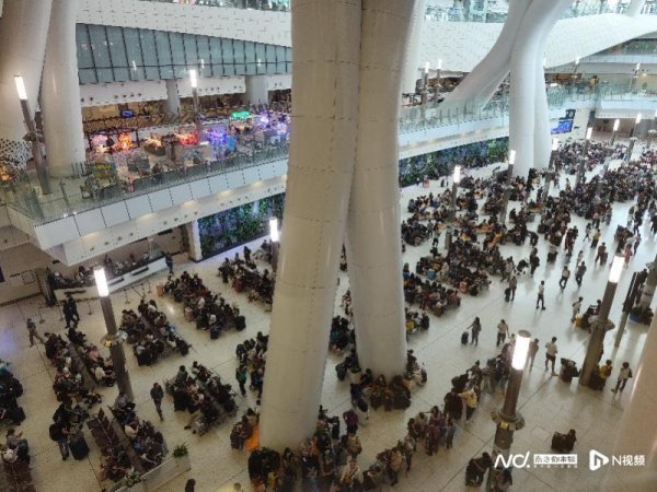 天宇配资 香港暂未录得基孔肯雅热确诊个案，将与粤澳合作联防联控