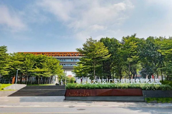 金多多策略 孵化港澳青创项目超6500个！  广东成港澳青年就业创业最佳目的地