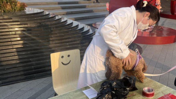 沪深策略联盟 即日起至年底，城市养犬集中复检，详情快戳